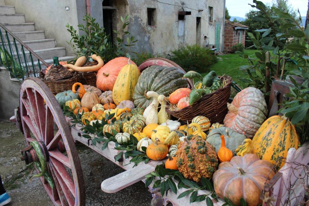Fattoria Le Giare Agriturismo Cortona Zewnętrze zdjęcie